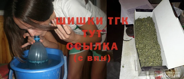mdpv Каменка