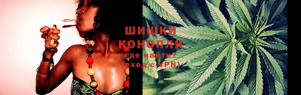 mdpv Каменка