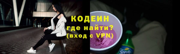 дживик Щигры