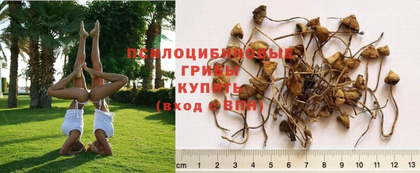 дмт Щучье