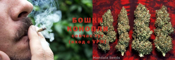 дживик Щигры
