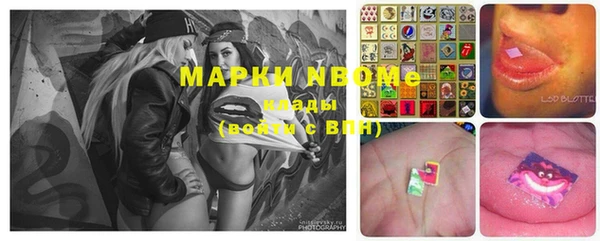 дживик Щигры