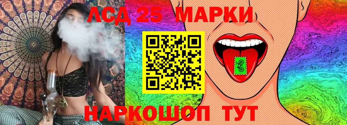 APVP Кудрово
