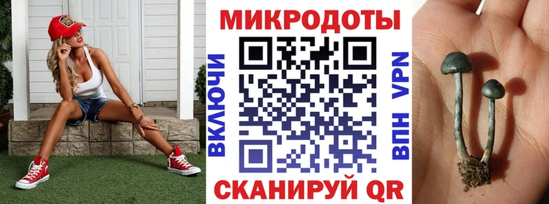 Галлюциногенные грибы мухоморы  Кудрово 