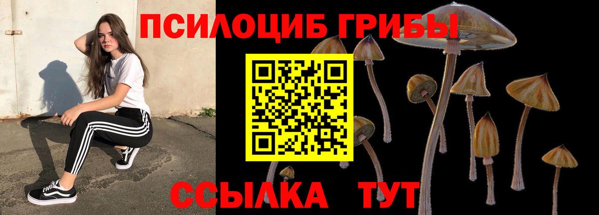 Псилоцибиновые грибы ЛСД Кудрово